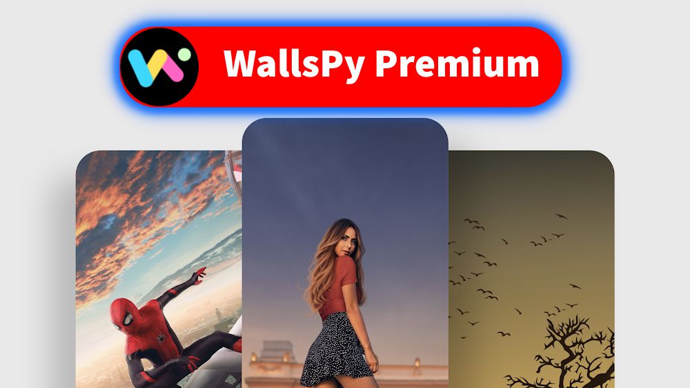 WallsPy Premium mod apk download