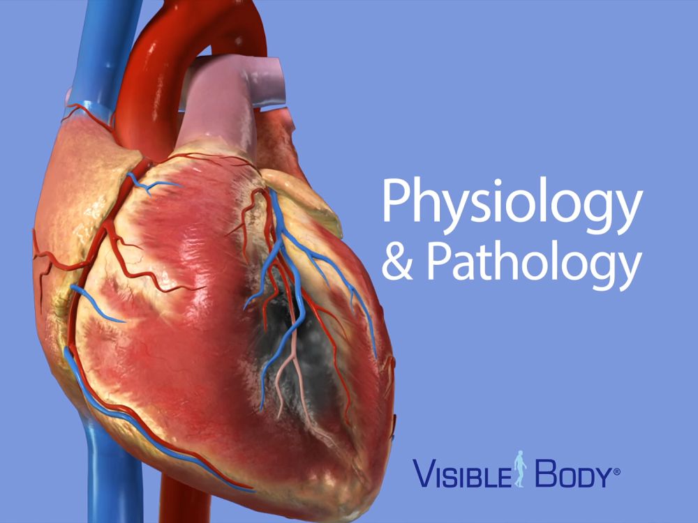 Physiology & Pathology mod apk download