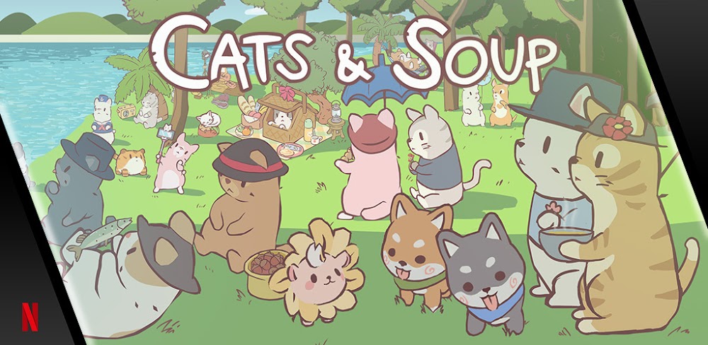 Cats & Soup Netflix Edition