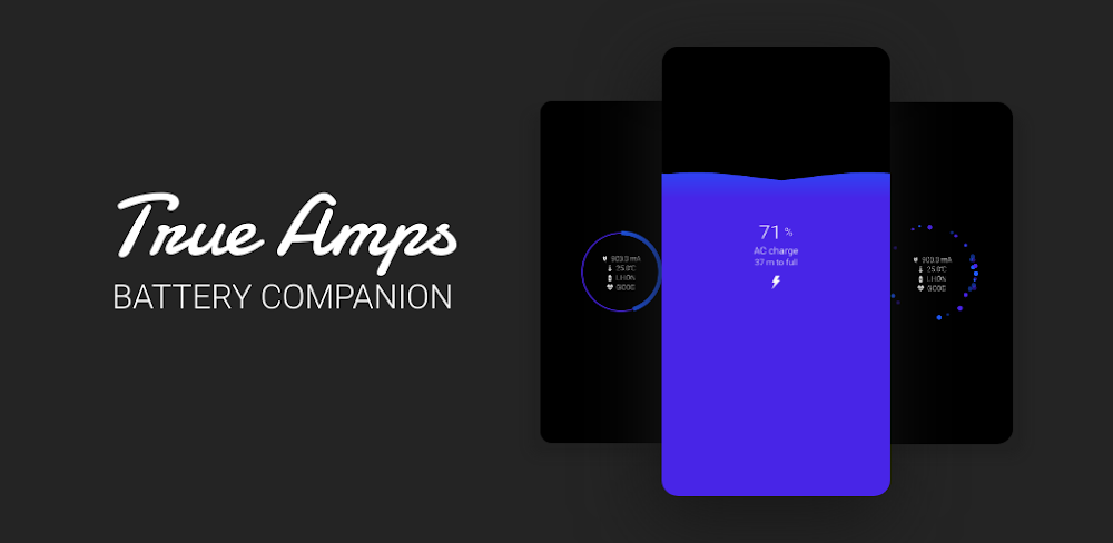 True Amps: Battery Companion