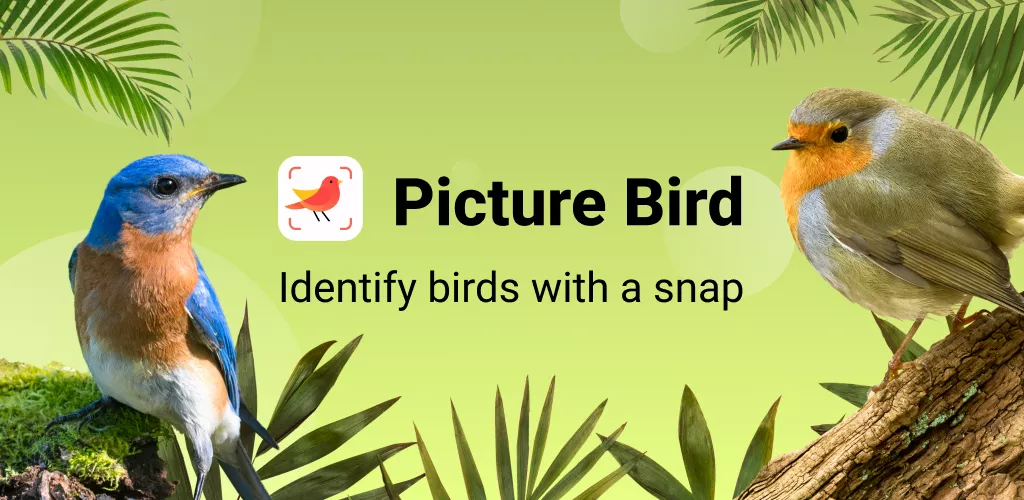 Picture Bird – Bird Identifier-banner