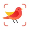 Picture Bird – Bird Identifier-icon